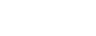 Activating New Leadership Logo