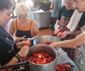 Welcome giovani Oliving salsa pomodoro cucina Permacultura Welcome giovani Oliving salsa pomodoro cucina Permacultura